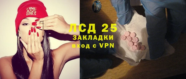 прущие грибы Бородино