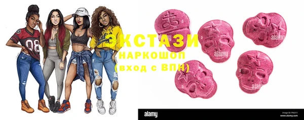 прущие грибы Бородино