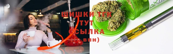 прущие грибы Бородино