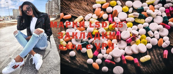 прущие грибы Бородино