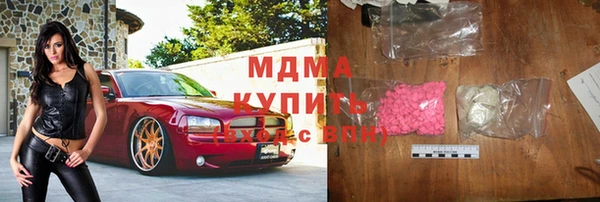 прущие грибы Бородино